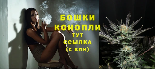 молекула духа Володарск