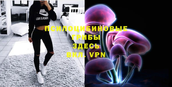 прущая мука Верхний Тагил