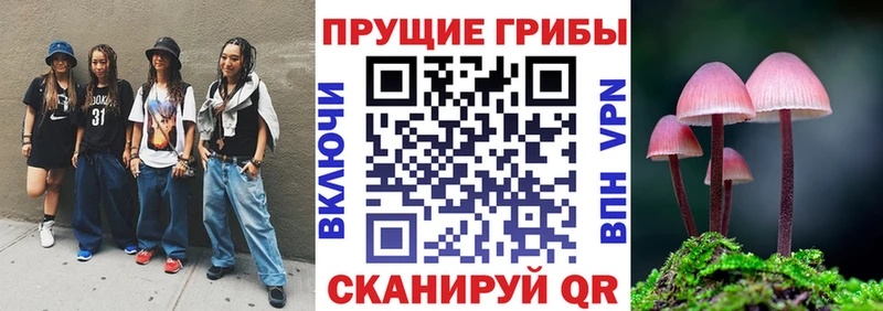 Галлюциногенные грибы Psilocybe  где продают   Верхнеуральск 